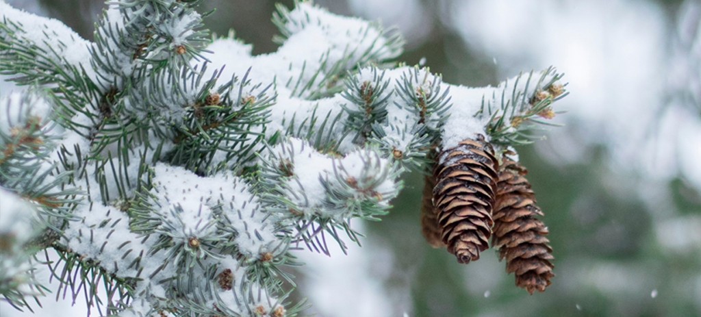 Sunday, 1/25/26, 10:30 am