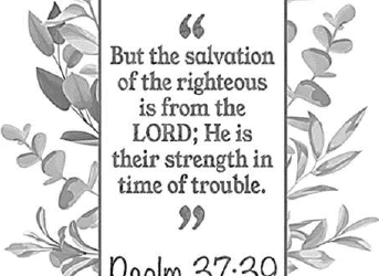 Sunday, 2/23/25, 10:30 am