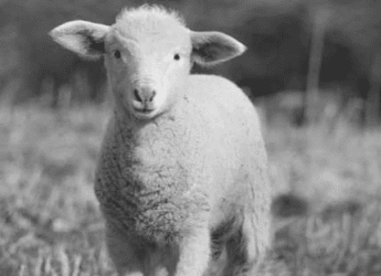 Sunday, 03/30/25, 10:30 am