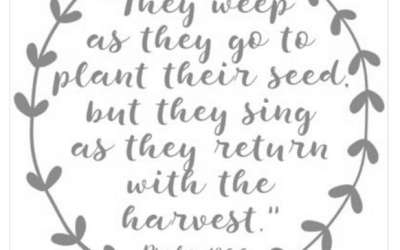 Sunday, 04/06/25, 10:30 am