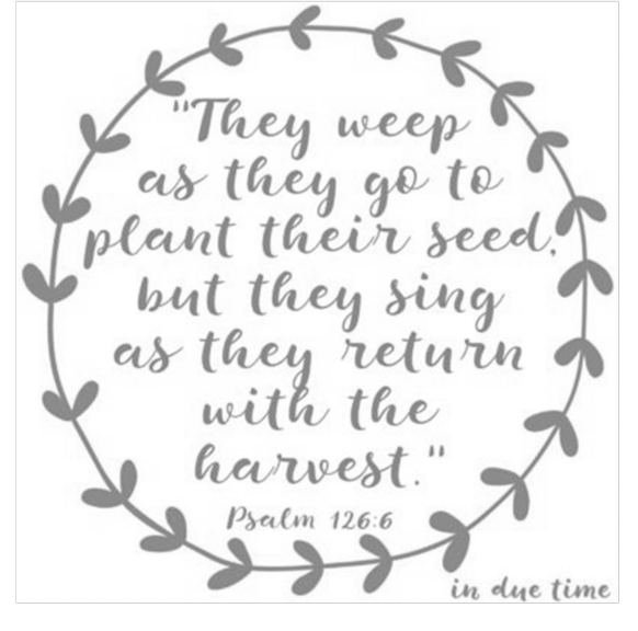 Sunday, 04/06/25, 10:30 am