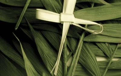 Sunday, 04/13/25, 10:30 am