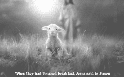 Sunday, 05/04/25, 10:30 am