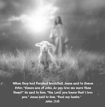 Sunday, 05/04/25, 10:30 am