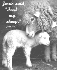 Sunday, 06/29/25, 9:00 am