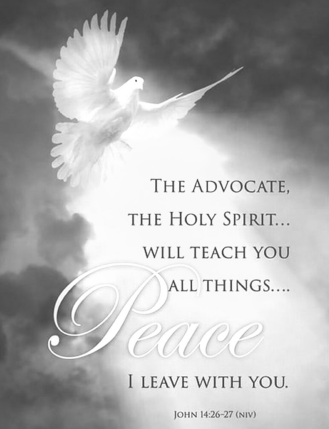 Sunday, 06/08/25, 9:00 am