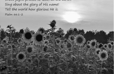 Sunday, 07/06/25, 9:00 am