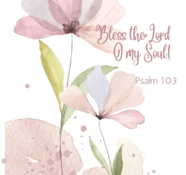 Sunday, 08/24/25, 9:00 am