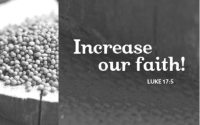 Sunday, 10/5/25, 10:30 am