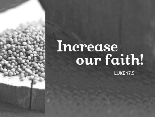 Sunday, 10/5/25, 10:30 am