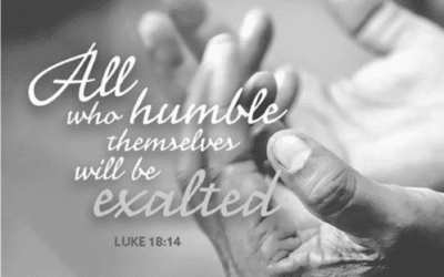 Sunday, 10/26/25, 10:30 am