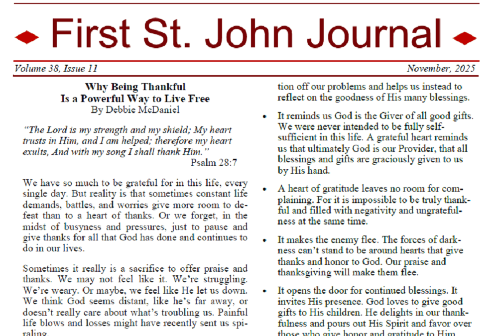 November 2025 Newsletter