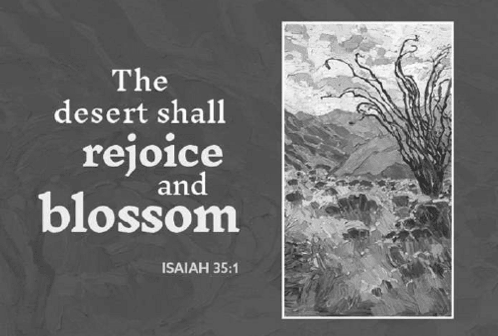 Sunday, 12/14/25, 10:30 am