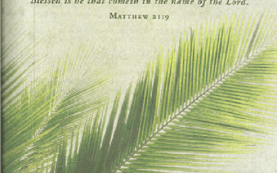 Sunday, 3/29/26, 10:30 am