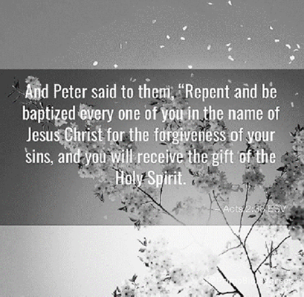 Sunday, 4/19/26, 10:30 am