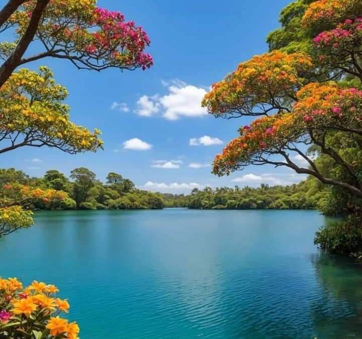 SUMMER SCHEDULE REMINDER